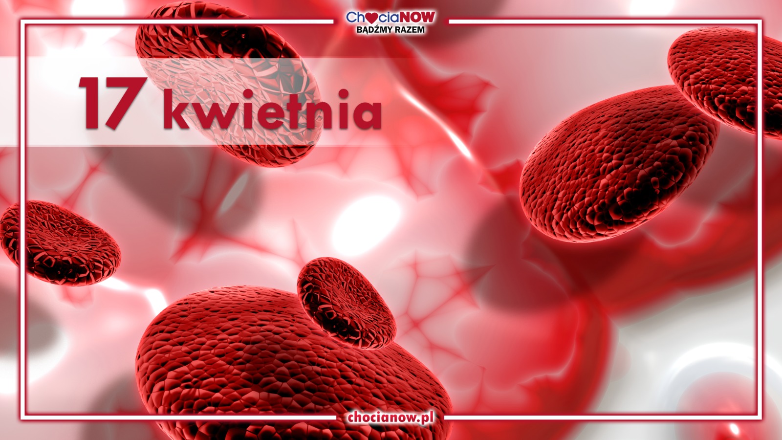 17 kwietnia, Światowy Dzień Chorych na Hemofilię 